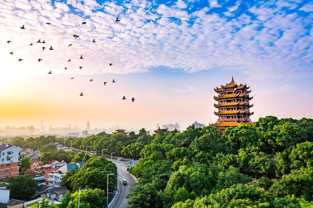 楚天云&东升国际(中国游)官方网站 - 主页欢迎您流量可视化：云上湖北，安全上云